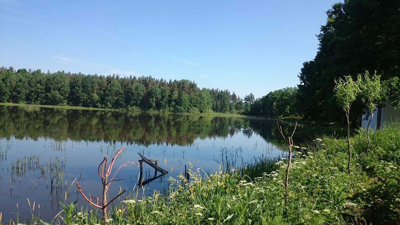 Chata U Smoliku Borovany  Экстерьер фото